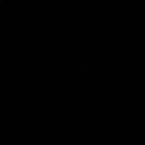 Meet your Posher, Jacky